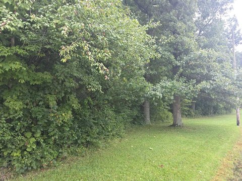 Land, Edison, OH
