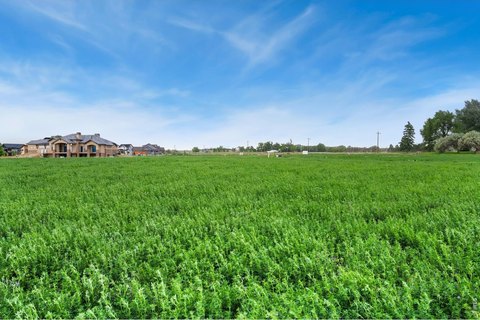 Land with Front Range Views
