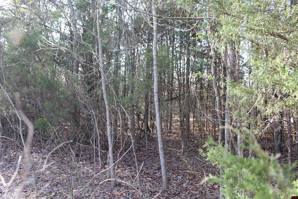 Picture 3