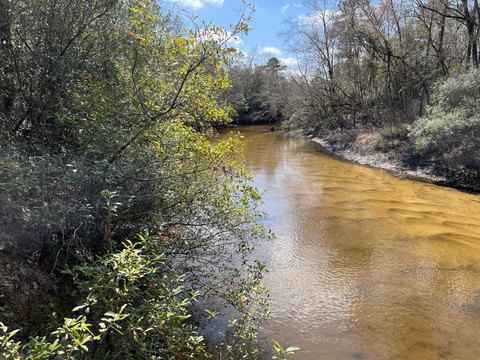 Shoal River Frontage Land
