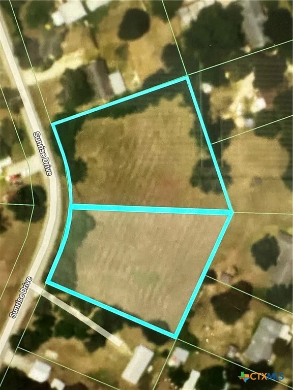 Picture 9