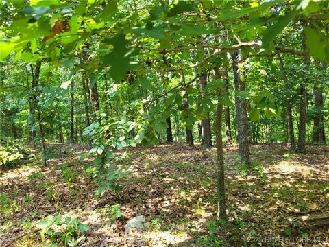 Wooded Lot Near Lake Ozarks