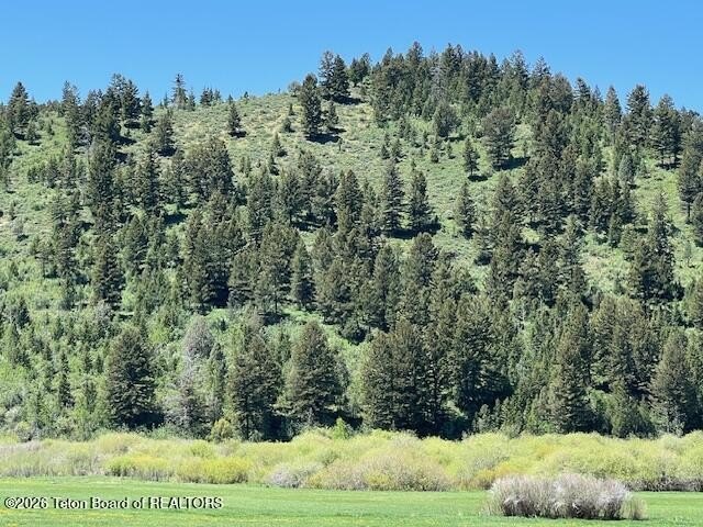 Afton, WY Land with Water