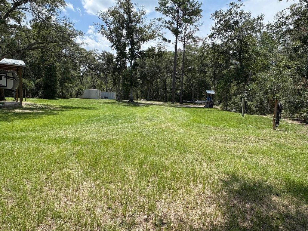 Picture 4