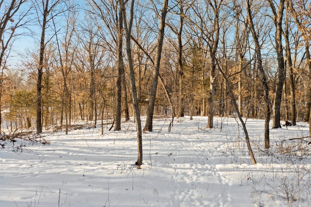 Picture 33