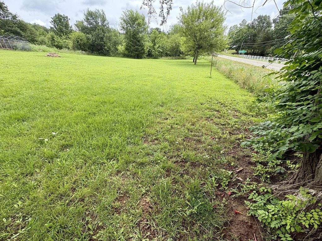 Picture 5