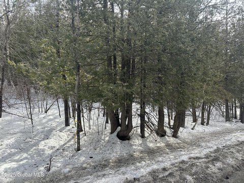 50 Acres Wooded Land, Crown Point