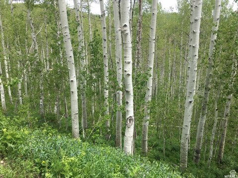 Land, Coalville, UT