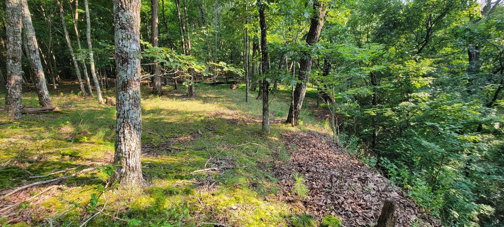 Picture 4
