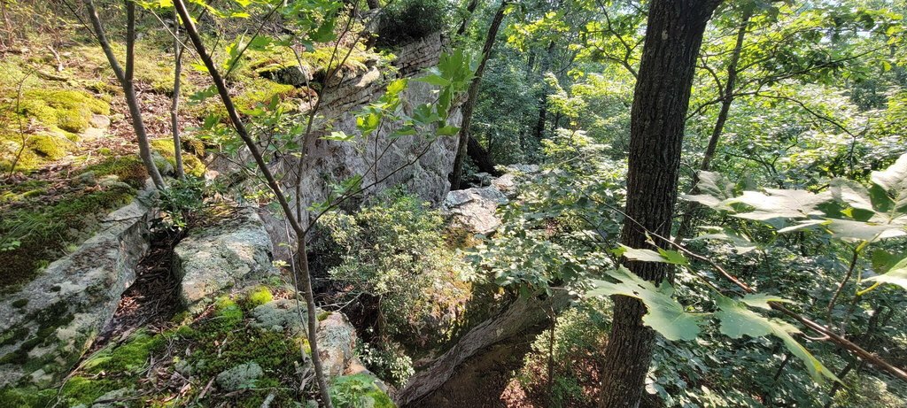 Picture 3