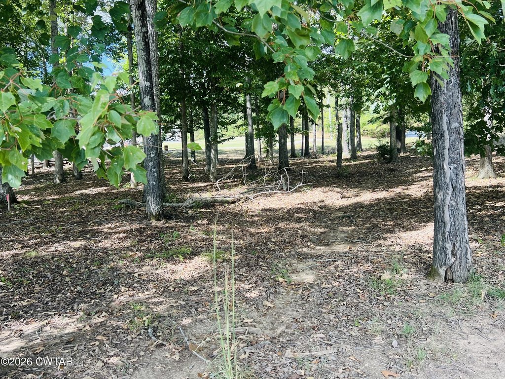 Picture 15