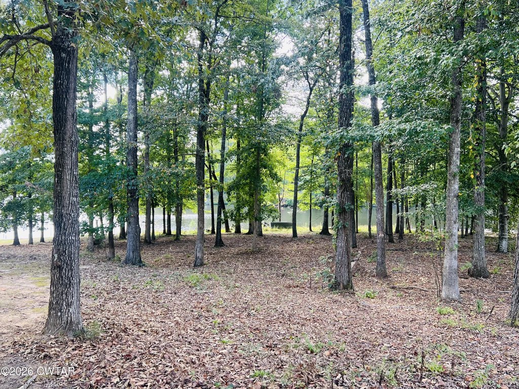 Picture 14
