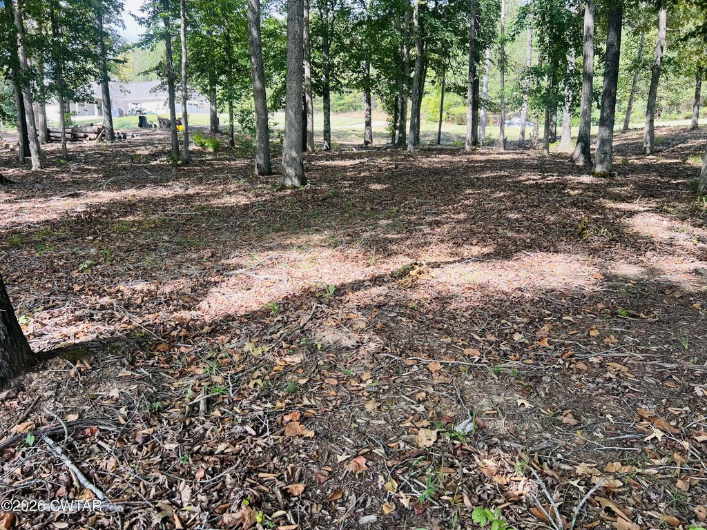 Picture 16