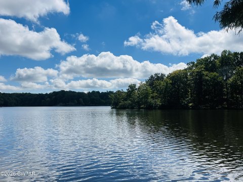 Land, Cedar Grove, TN