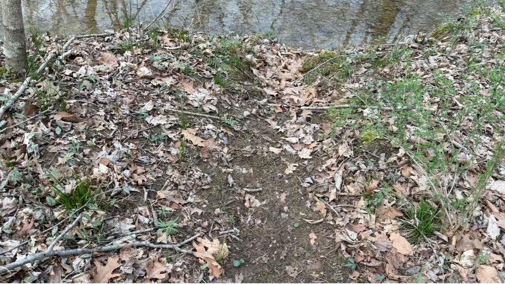 Picture 21