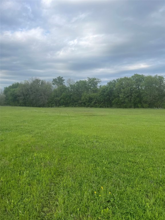 Picture 3