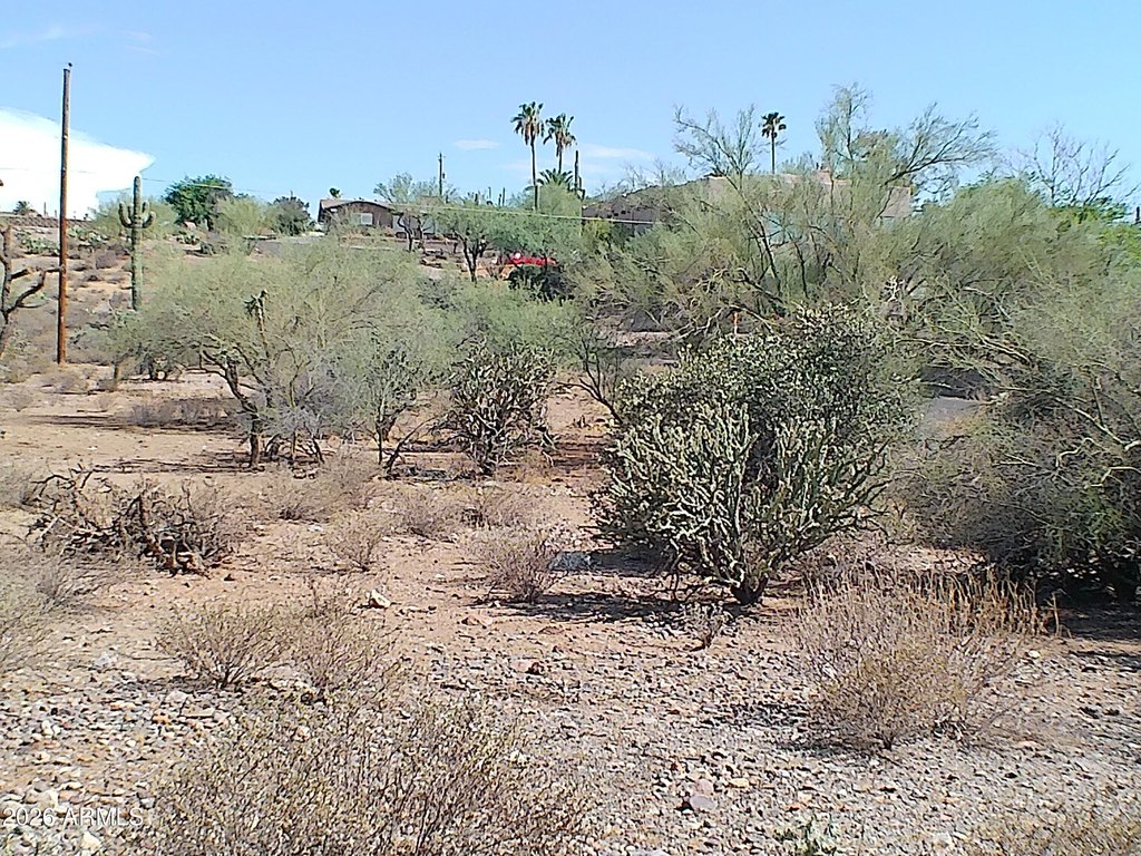 Picture 7