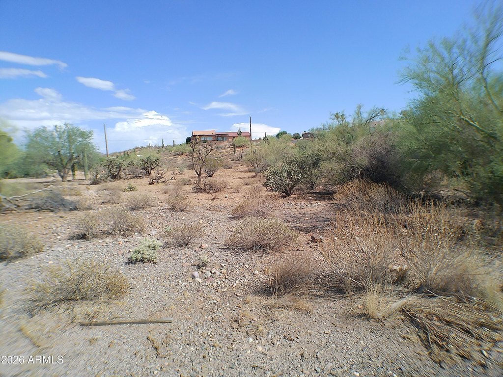 Picture 5