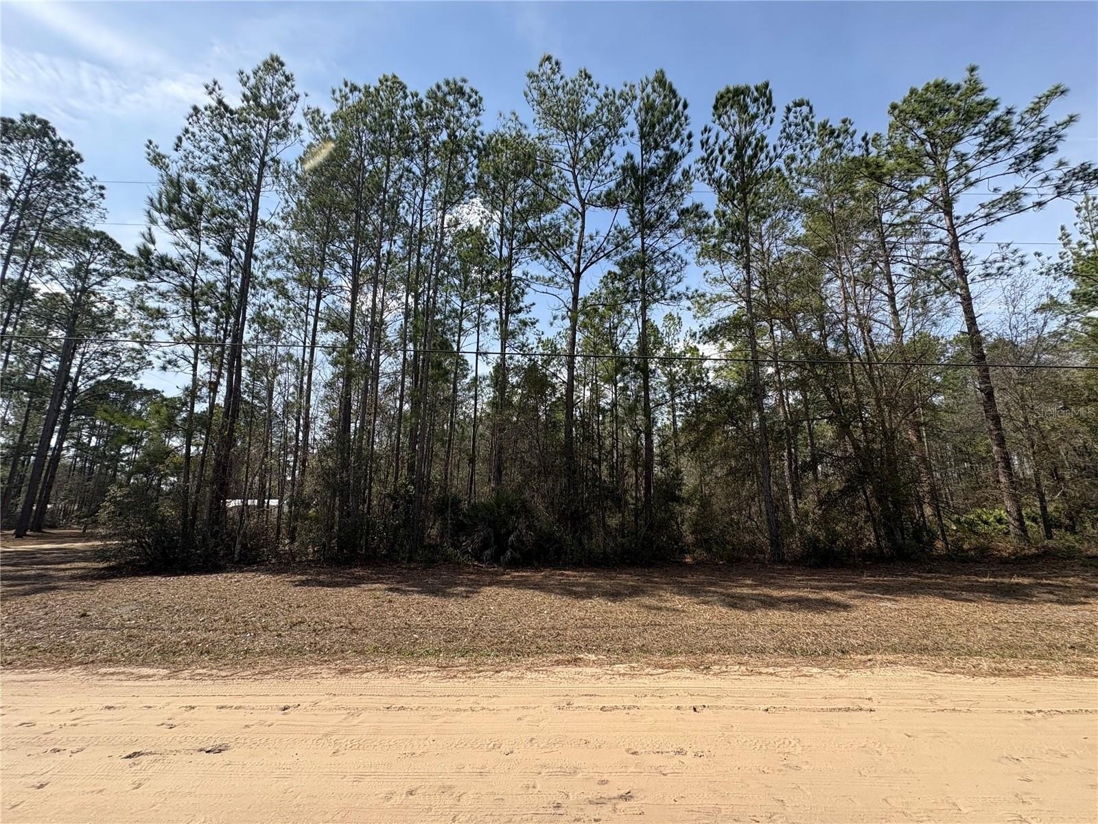 Wooded 5-Acre Keystone Heights Lot