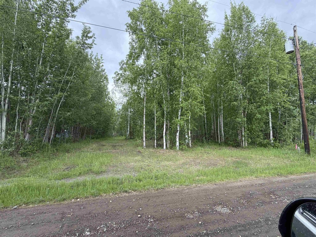 Picture 3