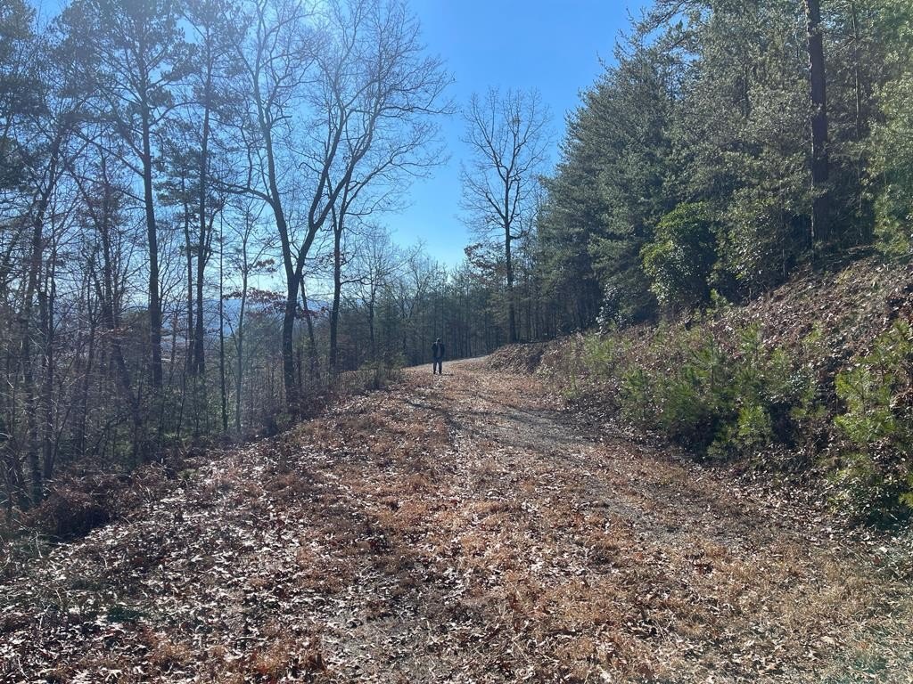 Picture 30
