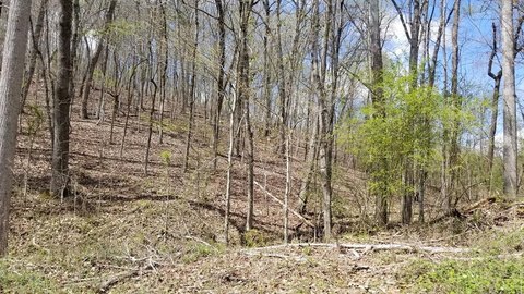 Lakewood Village Wooded Lot