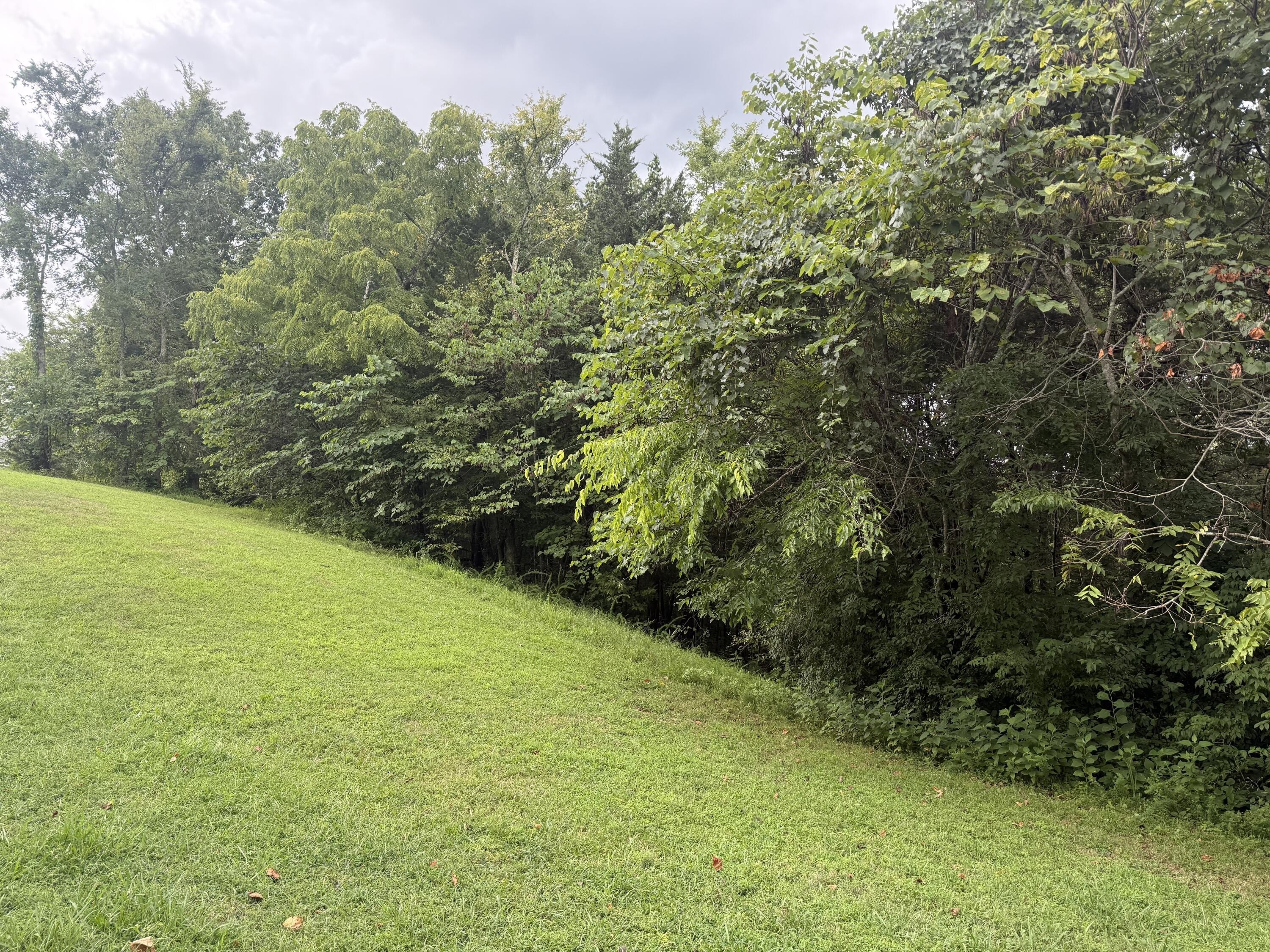 Residential Lot in Gated Community
