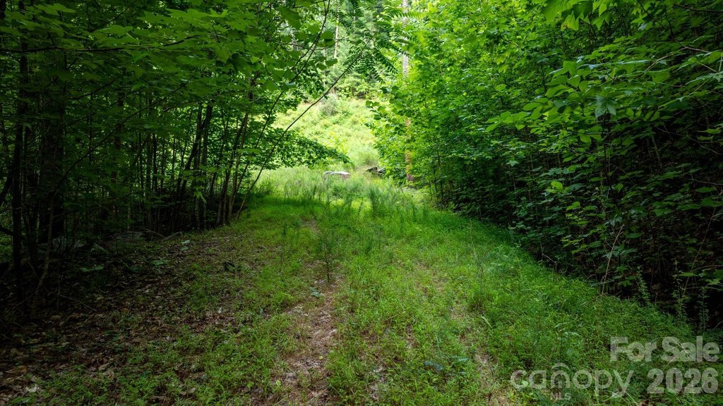 Picture 8
