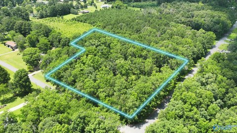 LAND - Attalla, AL