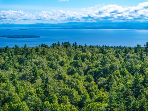 Forested Acreage Near Lake Champlain