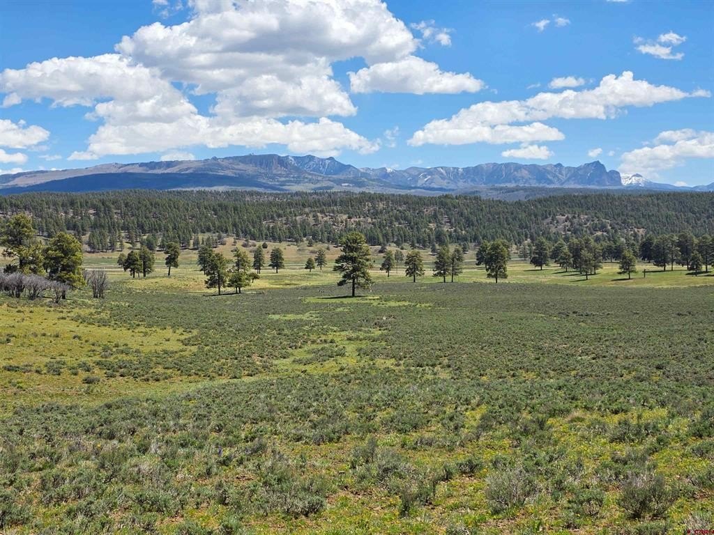 Land in Pagosa Springs, CO