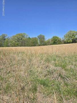 Land, Hernando, MS