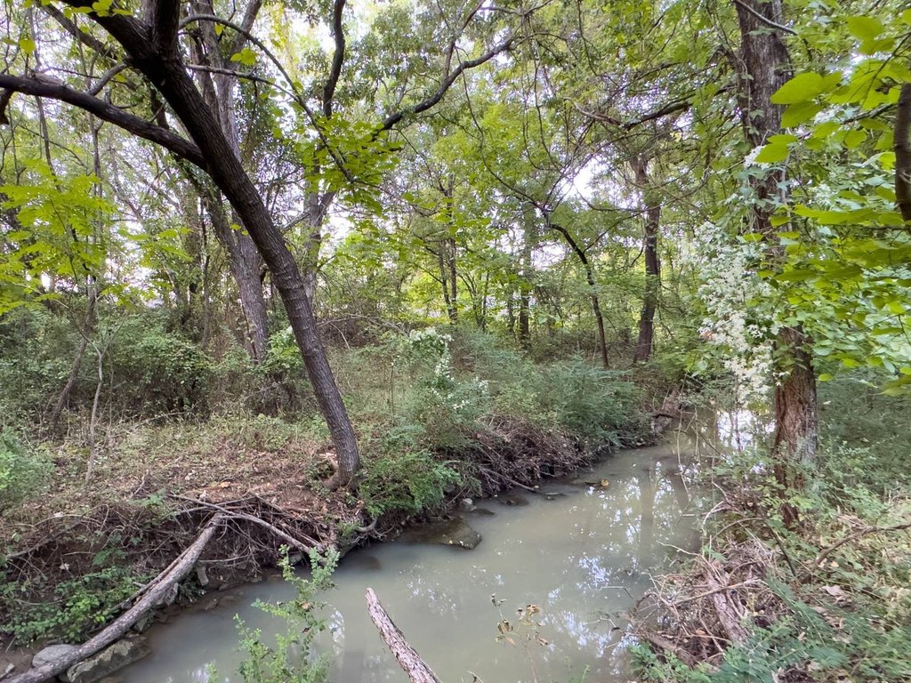 Picture 18