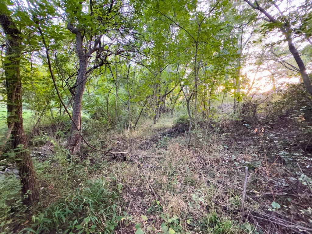 Picture 16