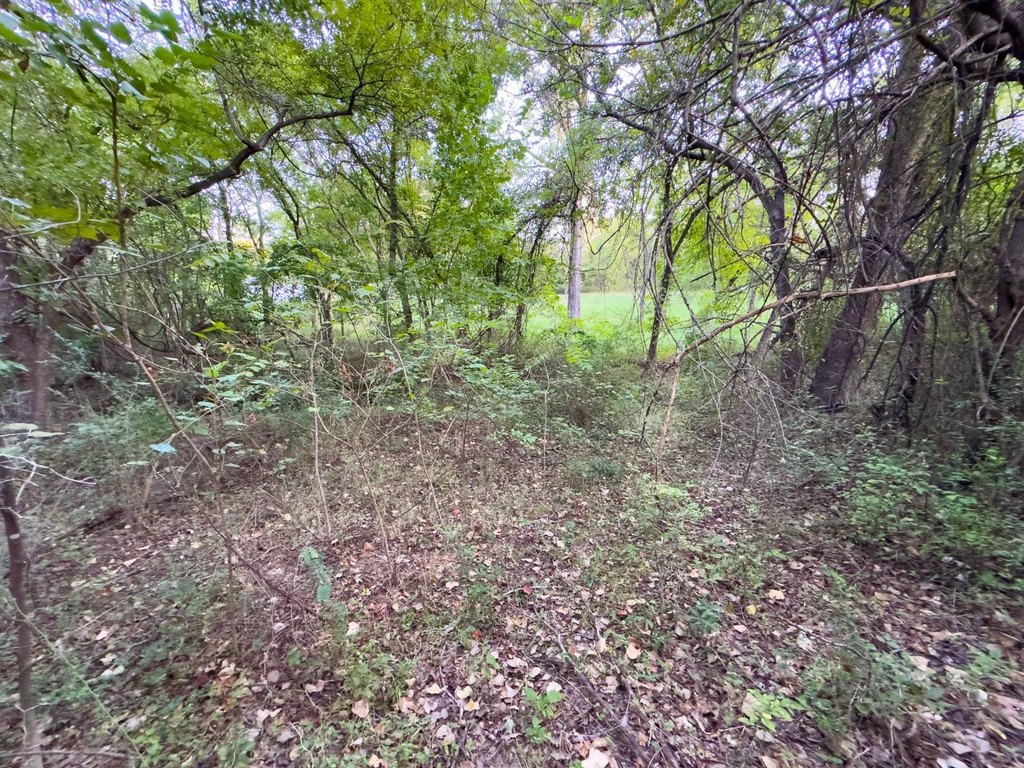 Picture 19