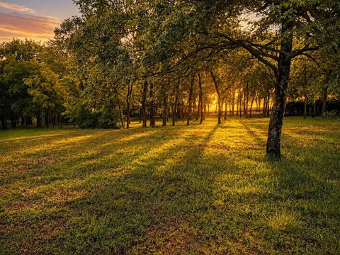LAND - Sherman, TX