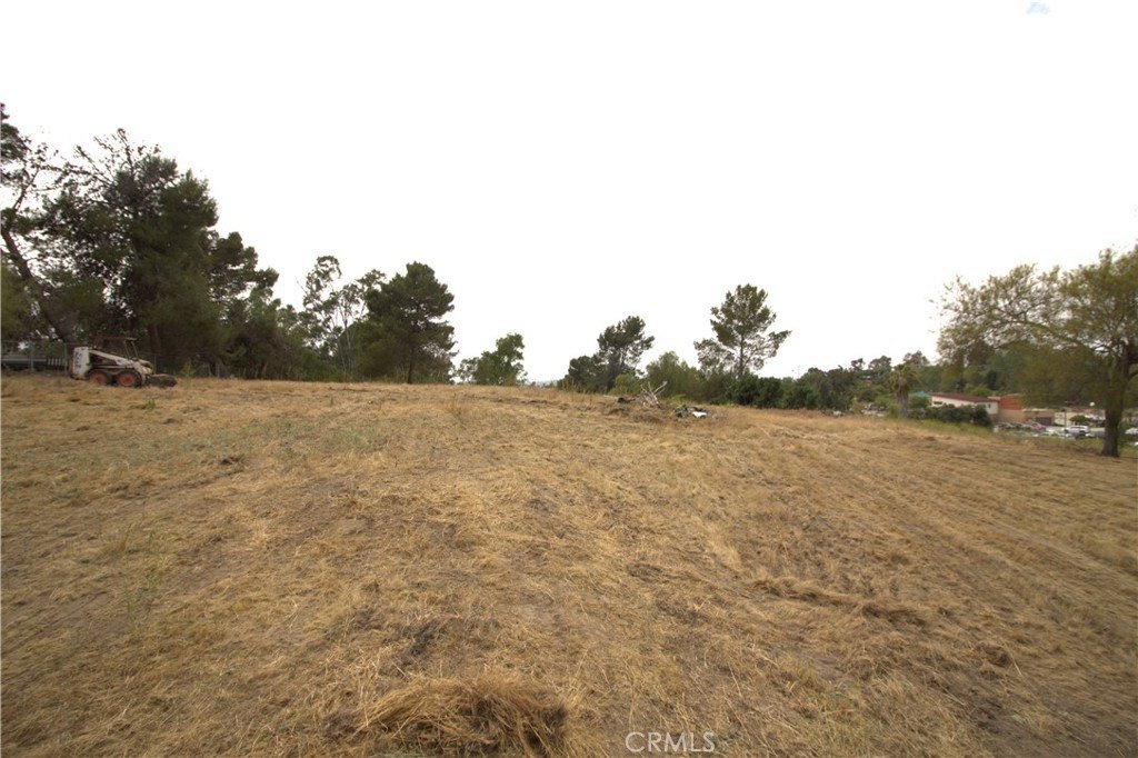 Picture 12
