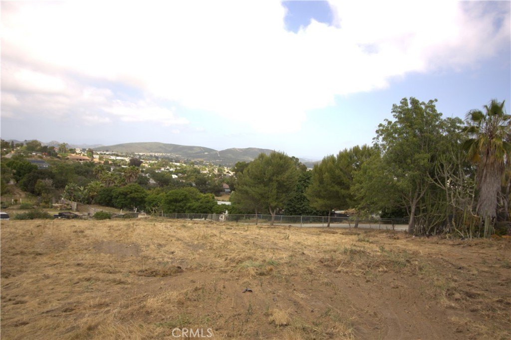 Picture 23