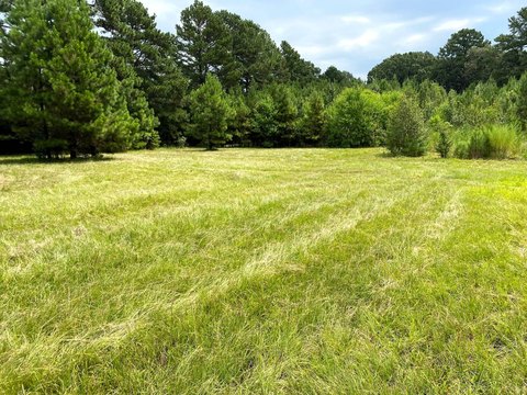 LAND - Ashdown, AR