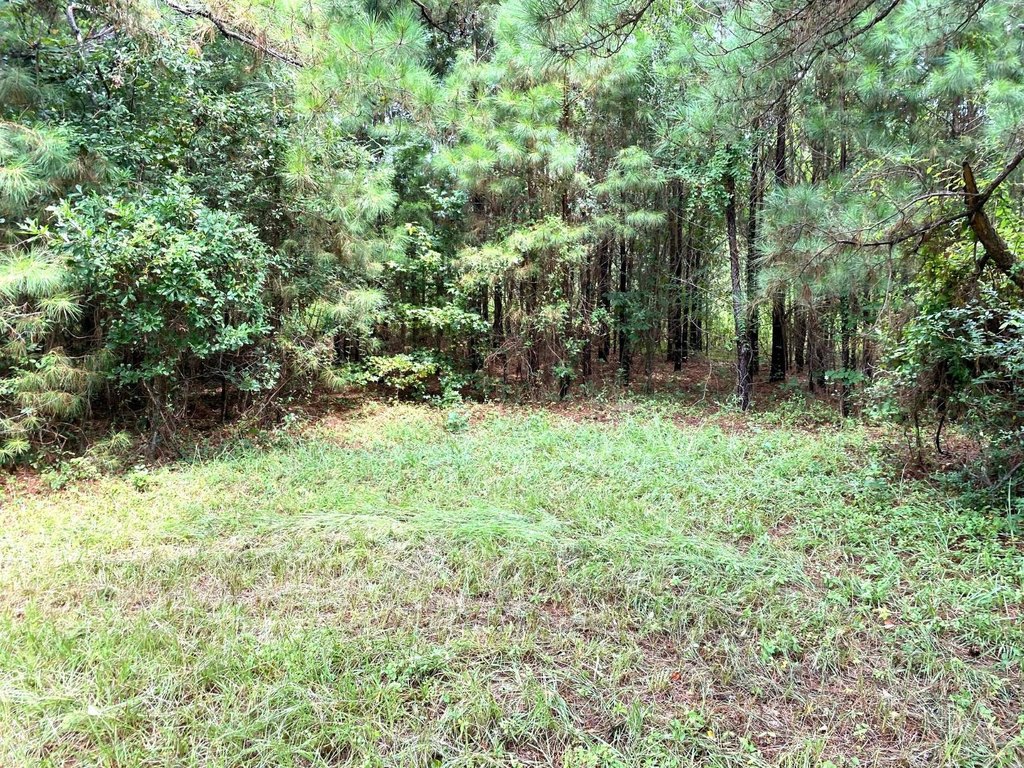 Picture 3
