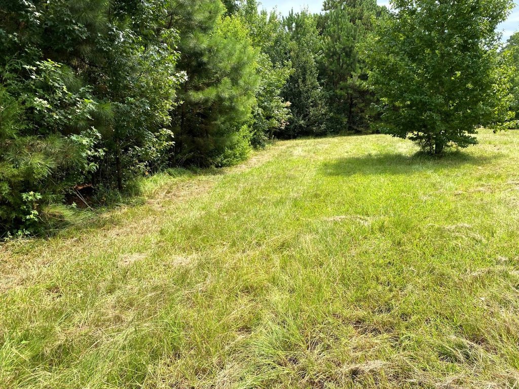 Picture 8