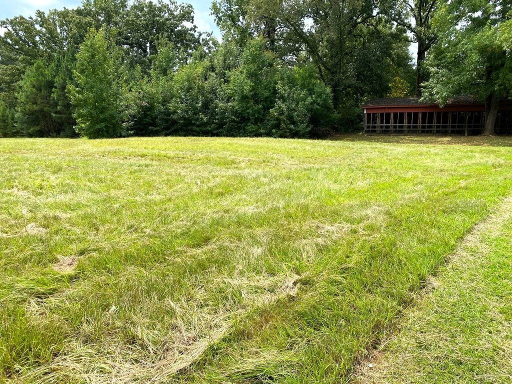Picture 9