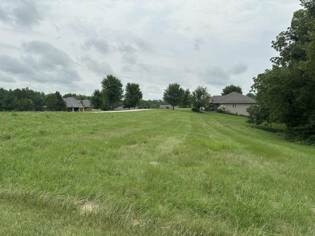 Picture 4