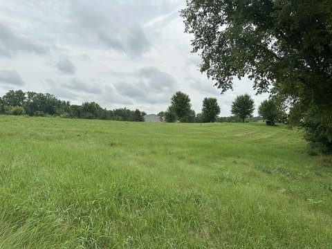 Land, East Dubuque, IL
