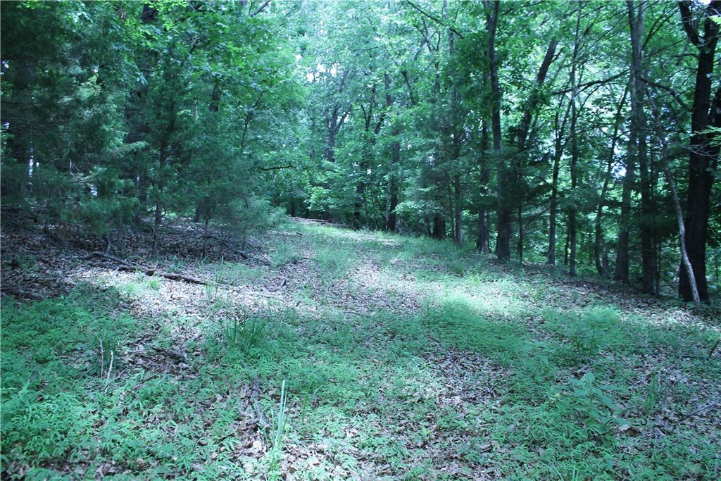 Picture 16