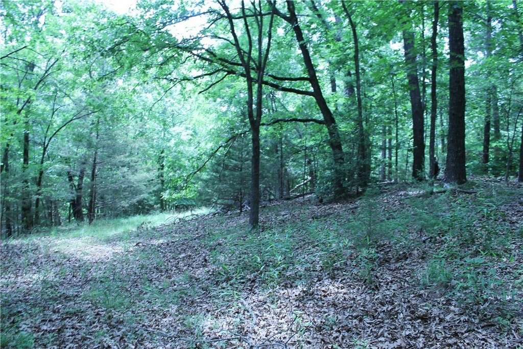 Picture 18