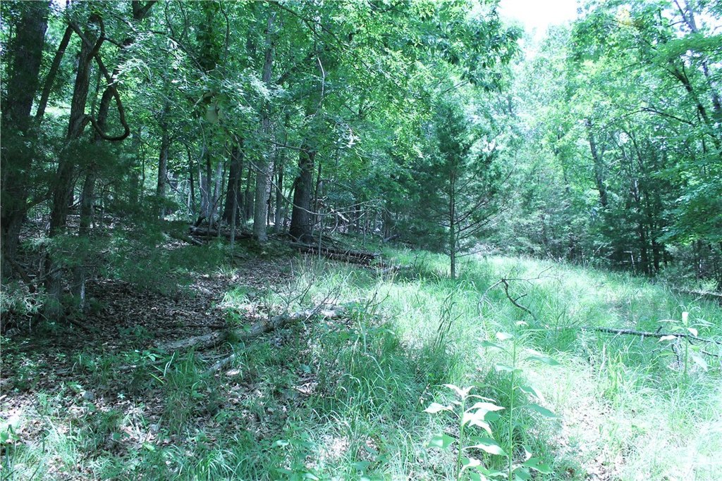 Picture 13
