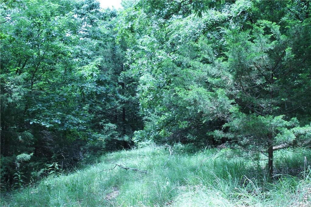 Picture 20