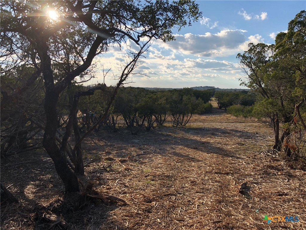 Picture 29