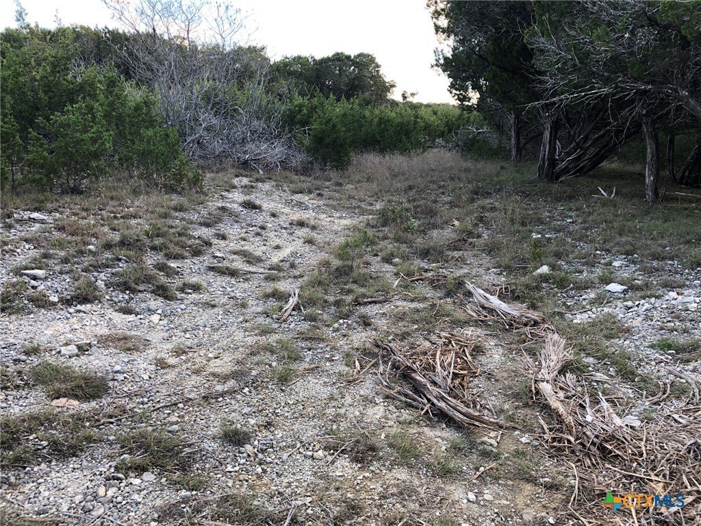 Picture 27